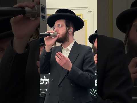 בנימין לייפער 🎤♥️ לייזר סופר 🎹🔥 מקהלת מלכות 🎶🔥