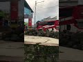 kyfa jaya trans #automobile #basuribussid #busmania