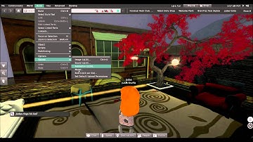 Second life 1 prim mesh cheat