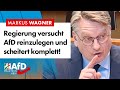 Regierung will AfD reinlegen und scheitert komplett – Markus Wagner (AfD)
