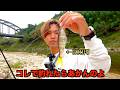 デカバスだらけの場所でダイソービックベイト投げまくったら流石に釣れる。