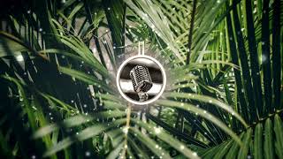 Daloka - From The Rubble