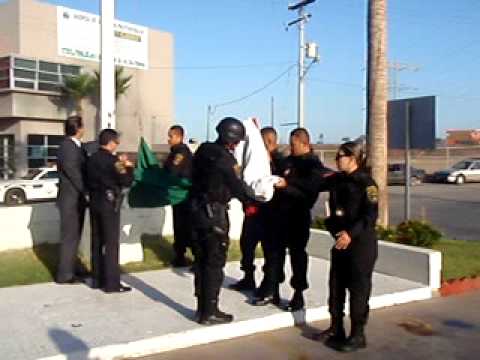 Con el mes de la patria, recuperemos nuestra identidad flipper band
