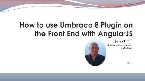 How to use Umbraco 8 back office section plugin directives on the front end