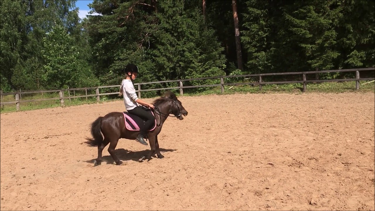 Kendor 09 07 2020 - YouTube