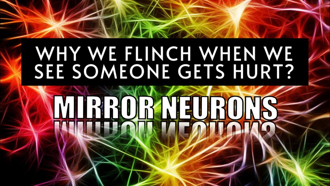 Mirror neurons - Why you yawn or smile back when someone does it?