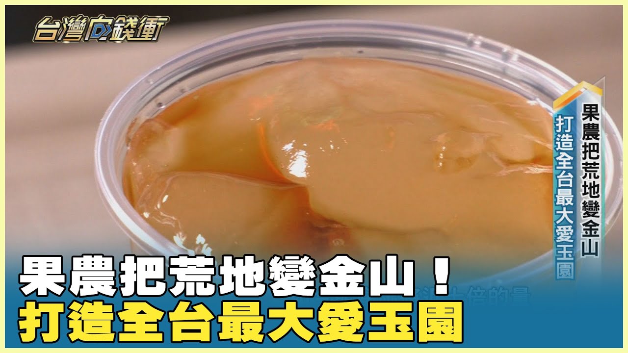 果農把荒地變金山！ 打造全台最大愛玉園 20250329【台灣向錢衝】Part2