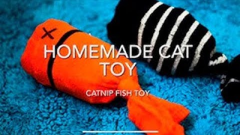 Catnip Fish Cat Toy