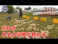 【玉ねぎ】 第751話、最後の早生を収穫する。#オーガニック栽培 #家庭菜園 #農業VLOG