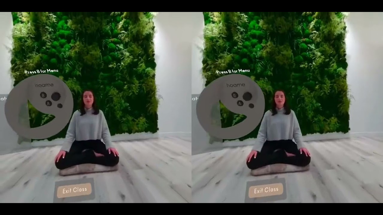 Hoame - {OCULUS QUEST 2 VR}