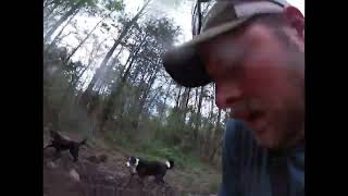 I GET STUCK!!! 2025 Honda foreman / Kenda bear claw review! #honda #muddy #pond #outdoors