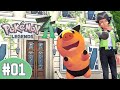 De Regreso a Kalos - Pokémon Legends ZA - 1
