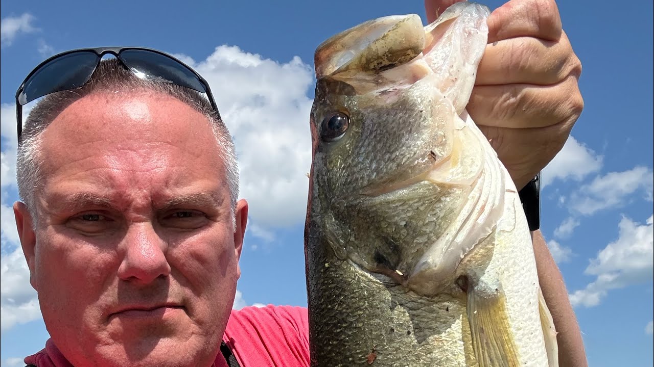 Swim bait fishing.  4 1/4 and 5 pound bass, cast to catch. ￼#bassfishing #fishing #fish #swimbait