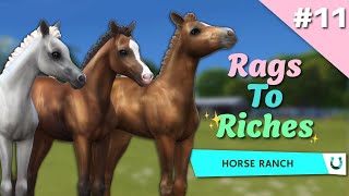 BREEDING EXPENSIVE FOALS! SIMS 4 RAGS TO RICHES - Horse Edition Episode #11 | Pinehaven