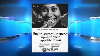Sweet Lies: Exposing the Sugar Industry Cover-Up! Net Worth