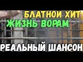 Сборник реального шансона. Новинки и просто хорошие песни !