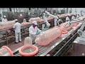 How Condoms Are Made – Inside the Condom Manufacturing Production Line | making full process