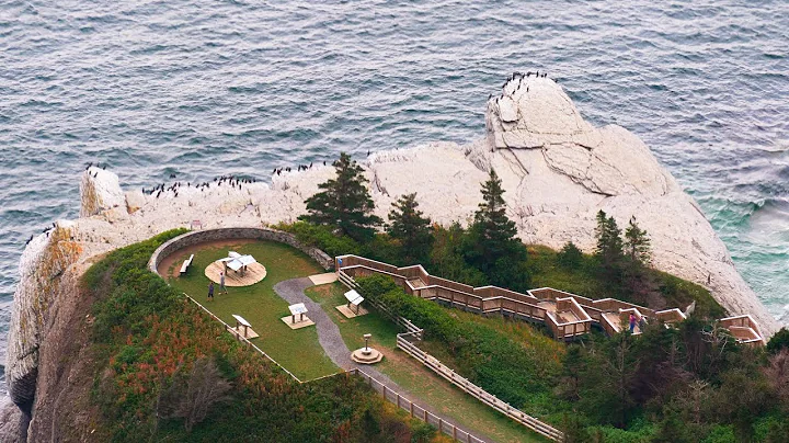Forillon National Park 1/4 - Cap-Bon-Ami - Cap Gaspé -  North Sector - Gaspésie - Québec - Canada