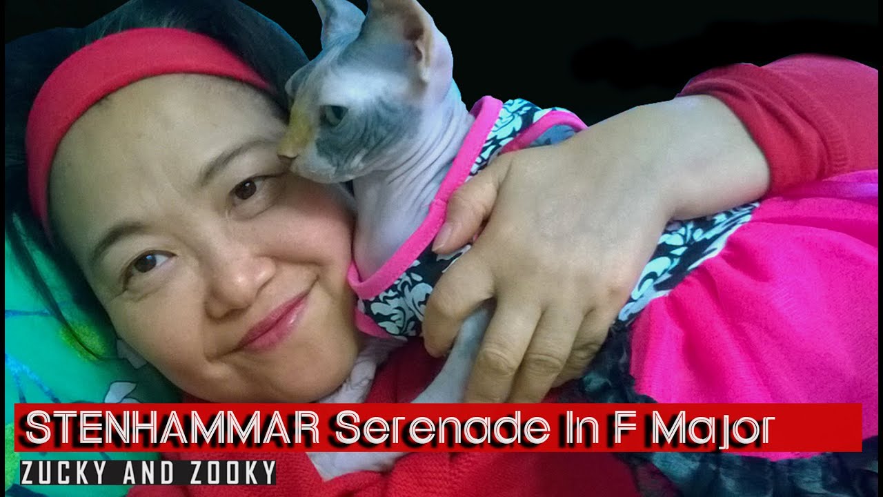 STENHAMMAR: Serenade In F Major ❤️Baby Classical Music for Sleep and Stress relief music for Adults