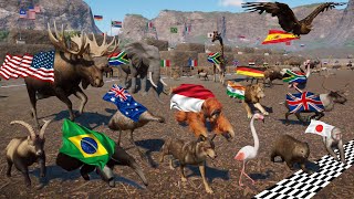 Epic Animals Race Compilations in Planet Zoo All Episodes, Included Noah's ark Live Stream #23
