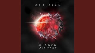 Video thumbnail of "Hidden Citizens - Built In Our Bones"