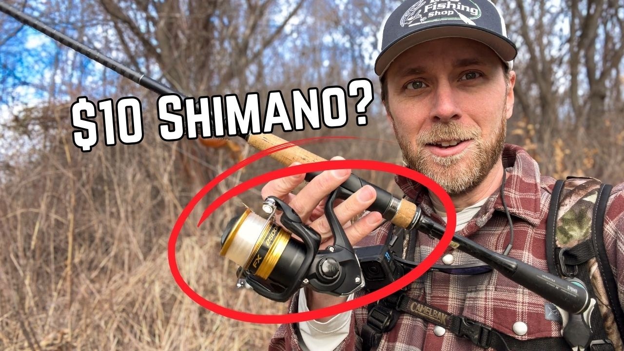 reel shimano sahara 4000fd Inc. 4000 Fi SH4000XGFIC Spinning 24Lb/Hagane Gear/Clam Pack : Sports & Outdoors Featuring 3 shielded stainless Hook Color:Blood Red 67 ZEBCO ABU Cardinal OEM3::36700466839706-35.85