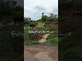 #quran #qurantranslation #quranrecitation #quranurdutranslation #qurantilawat #quranverses quran