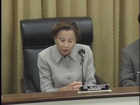 sbah lkhir Chairwoman Nydia Velazquez (D-NY) Opening Statment