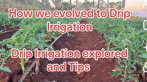 RuralLife Zimbabwe - How we evolved; Tips and Drip irrigation explored #zimbabwe #offgridlifestyle 