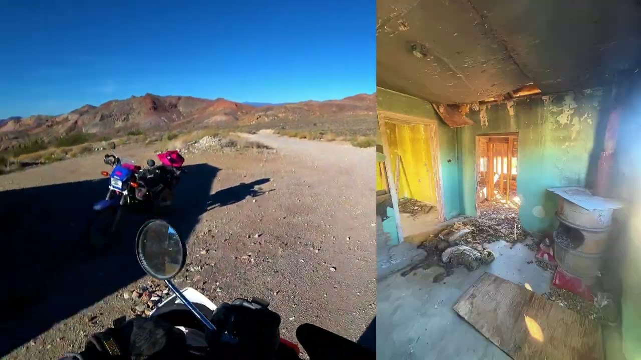 Admirals Annual Migration South - Beatty - Valley of Fire