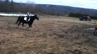 Jumping Stuart 4