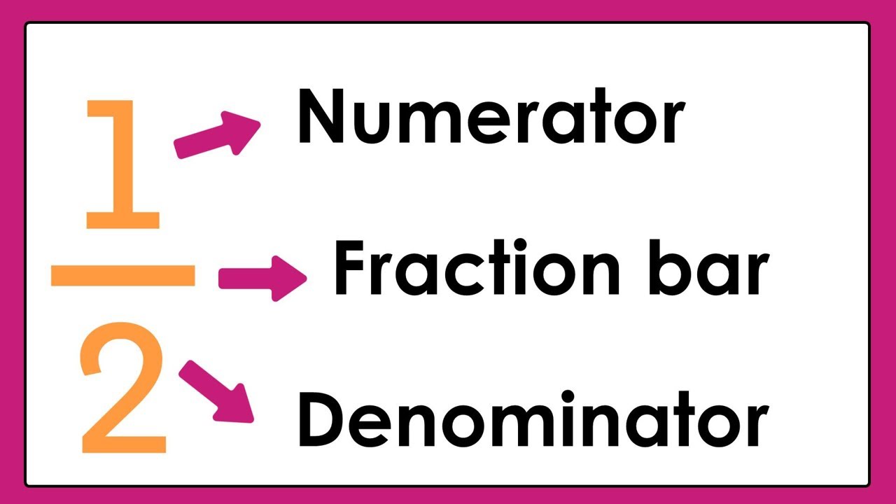 Happy Kids Learning TV | Math | Fraction - 1/2
