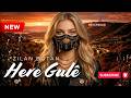 Zilan Botan Kurmanci Here Gulê Official Lyrics Video Sözler كلمات VIRAL TIKTOK 2026 
