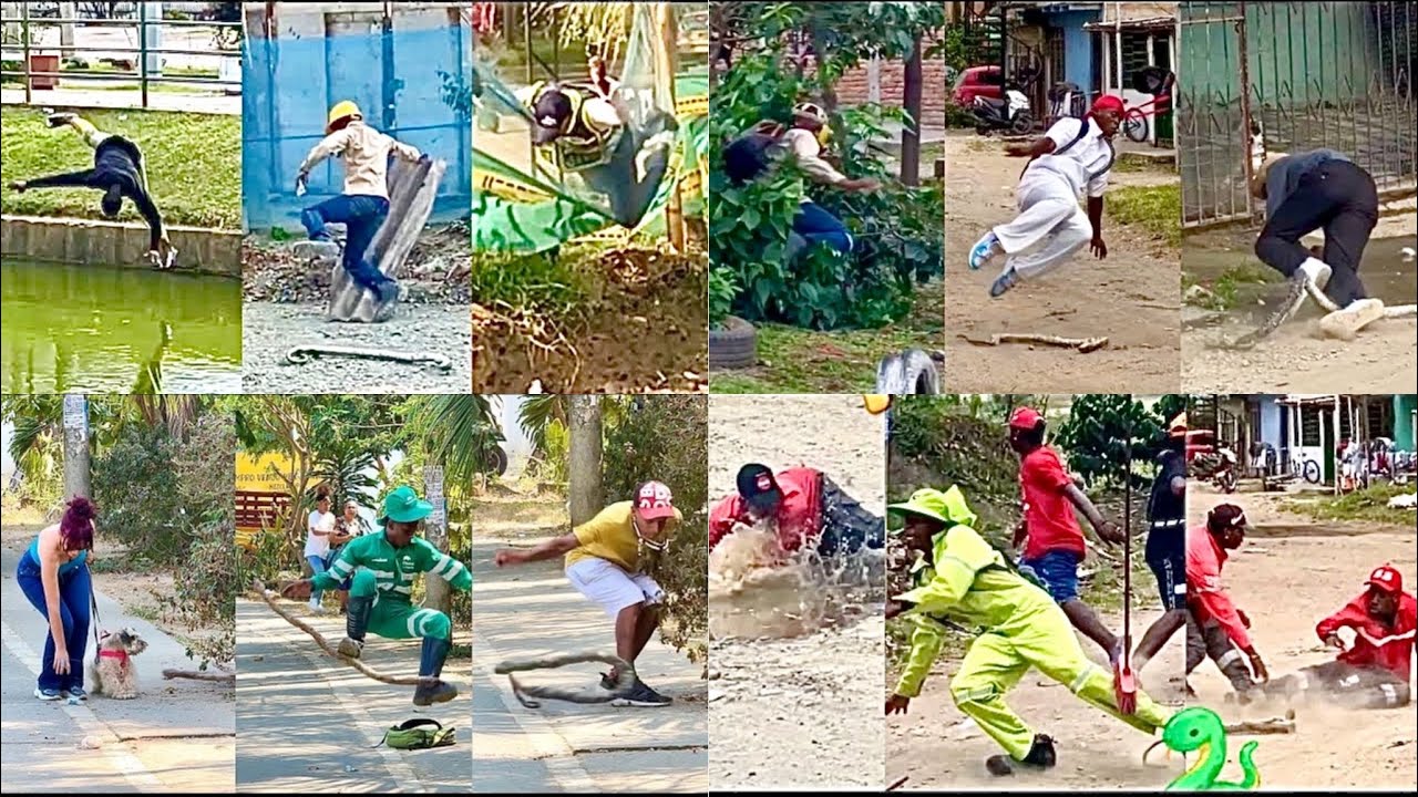 Recordando Los Mejores Y Más Virales Momentos De La Serpiente Millonaria! 🐍🤑