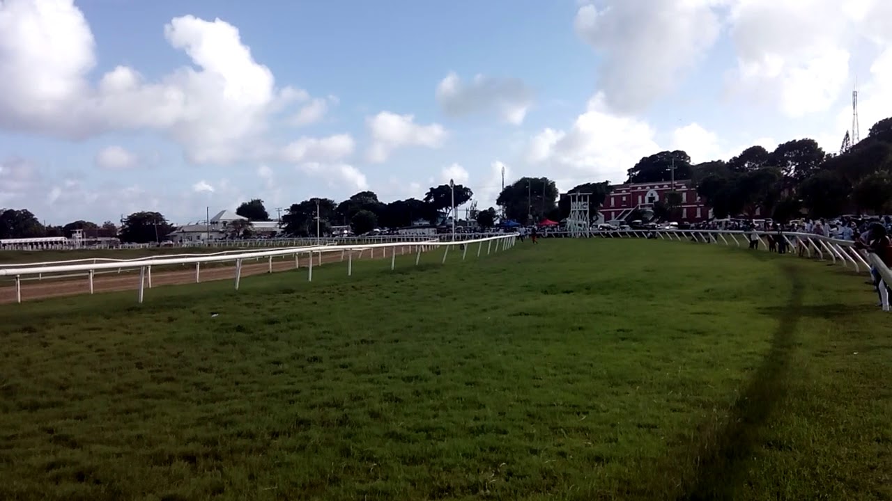 barbados-horse-racing-boxing-day-2017-youtube