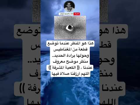 هذا هو المنظر عندما توضع قطعة من المغناطيس وحولها برادة الحديد منظر موضح معروف عندنا