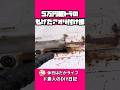 … もげてません?笑 #ガレージライフ #軽トラ #アクティトラック #ha4