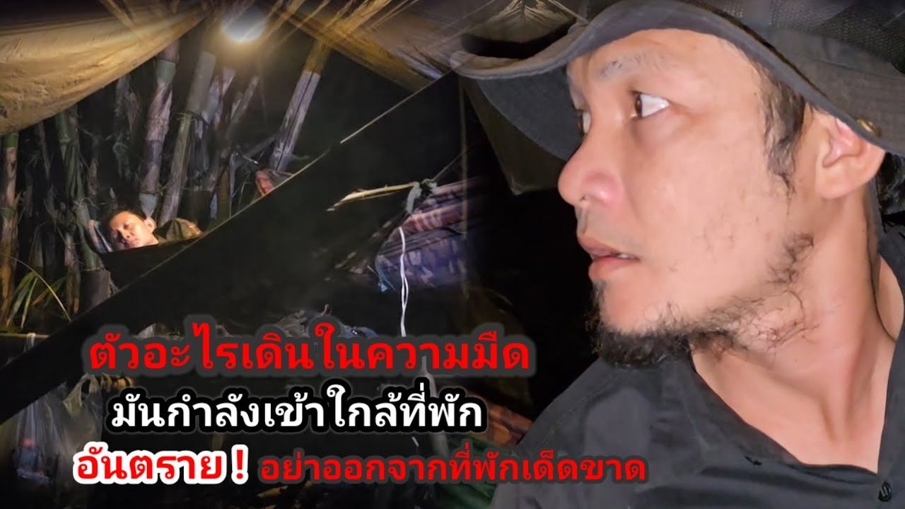 นอนที่พักร้างกลางป่า อะไรเดินรอบที่พักมันคือตัวอะไรกันแน่ !ต้องผลัดกันเฝ้ายามทั้งคืน !ไม่งั้น ..