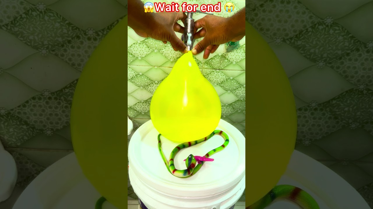 Balloon🎈 vs Water 💦 | Satisfying Balloon Burst & Fun Experiments 