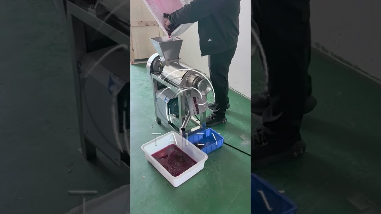 Industrial Juicer Machine Price | Berry Juice Extractor