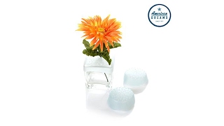 Budable 3pack DIY Flower Arranger Tool