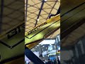 BROSS gold edition ZENITH frame