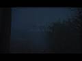 flawed mangoes - the beginning (slowed + reverb edit)