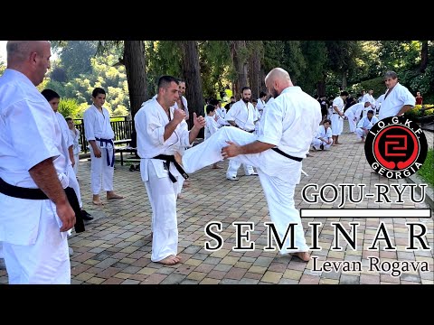 გოჯუ-რიუ კარატეს სემინარი ბათუმში | Goju-Ryu Karate Seminar in Batumi