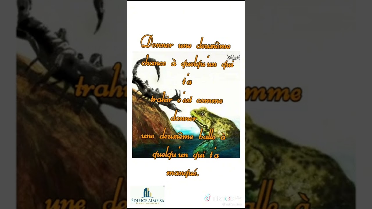 l'histoire de la grenouille et du scorpion - YouTube