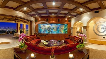 Shark equirectangular VR2 Output injected