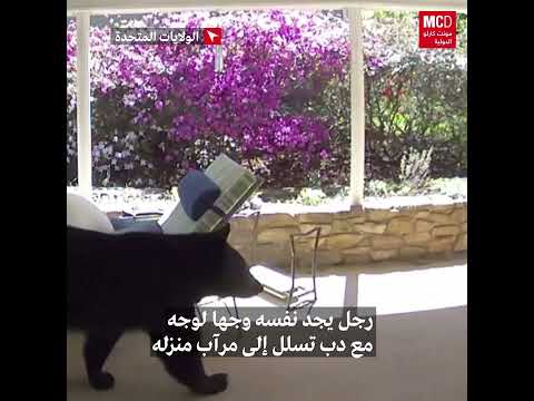 بالفيديو رجل يجد نفسه وجها لوجه مع دب تسلل إلى مرآب منزله