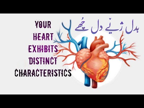 Badal Che Dil Chi Your Heart Is Different Badal Cxe Dil Chui Kashmiri Kalam 