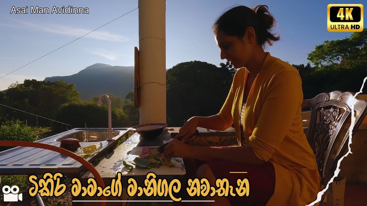 ටිකිරි මාමාගේ මානිගල නවාතැනේ දවසක් | Mathale riverston low budget rooms ...