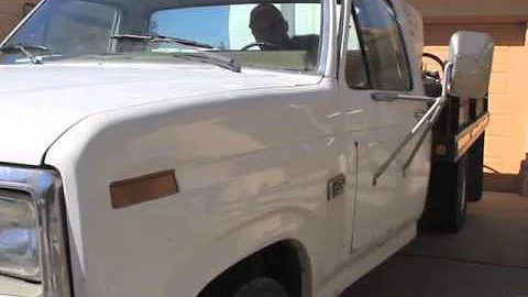 Bug Free Tree and Shrub Spraying, Insect Control, Colorado Springs, CO